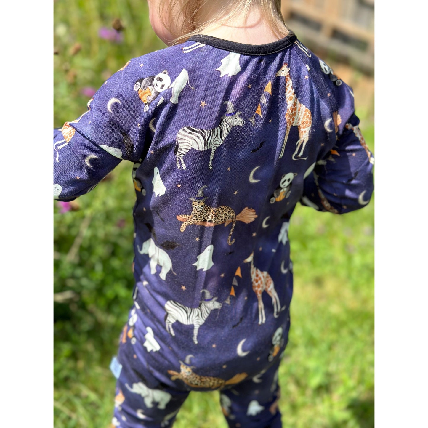Boo Zoo Zippy